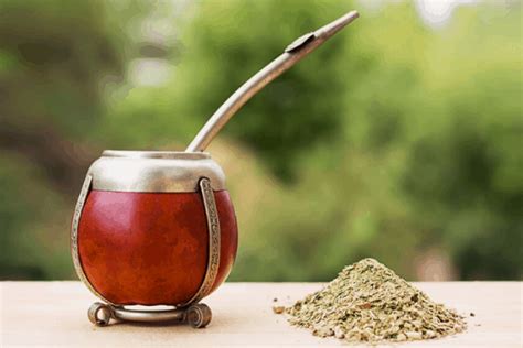 Best Yerba Mate Brands in 2024 | Top 10 Companies To Choose