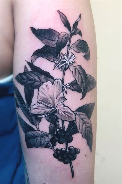 Tattoo uploaded by Leo Canosa • Black and grey coffee plant mix with ...