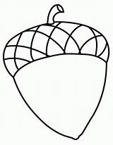 Acorn Coloring Pages For Kids  Home sketch template
