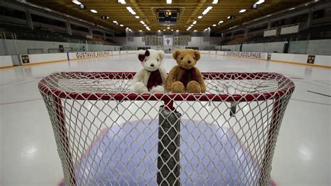 2017 Gustavus Men's Hockey First Annual Teddy Bear Toss Promo - YouTube