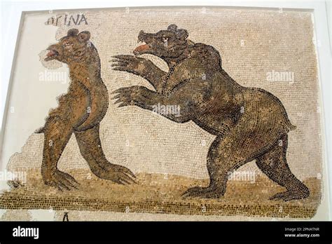 Roman Floor Mosaic Depicting Atlas Bear from the Bardo Museum, Tunis Stock Photo - Alamy