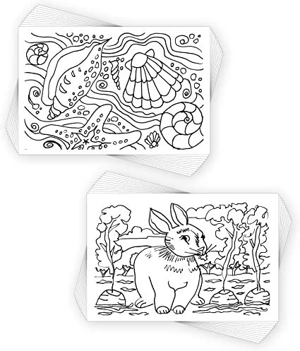 Amazon.com: COLORpockit 4x6 postcard Coloring Book Deck Pack Bundle with Artsy Animals and ...