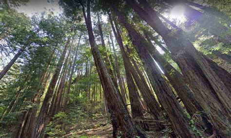 Marin County trails closed after hiker finds suspicious box