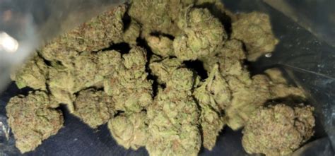 What is ZaZa? Everything You Need to Know About the ZaZa Weed Strain What is the ZaZa Weed ...