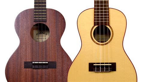 Ukulele Wood Comparison - Different Ukulele Wood Types - Austin Bazaar