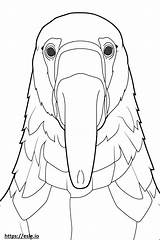 Anteater Face coloring Page sketch template