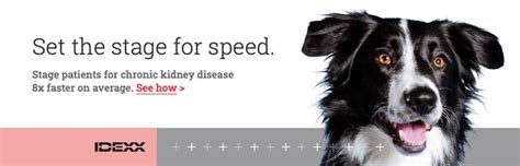 IRIS Staging of Chronic Kidney Disease in Pets for Improved Outcomes - The Vetiverse