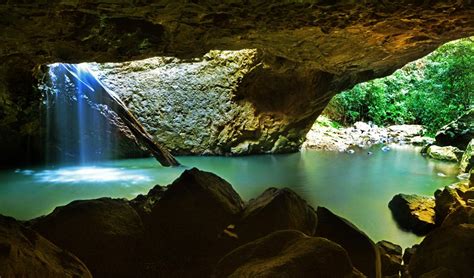 Springbrook National Park, QLD - Australian Geographic