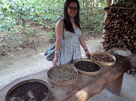 Food, Travel and Life: Satria Agrowisata, Bali - Tea and Coffee Tasting