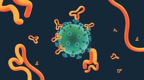 Antigenic Drift vs Antigenic Shift | Technology Networks