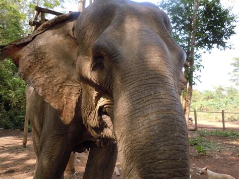 Ratanakiri, Cambodia