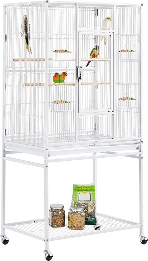 Green Cheek Conure Cage Setup | lupon.gov.ph