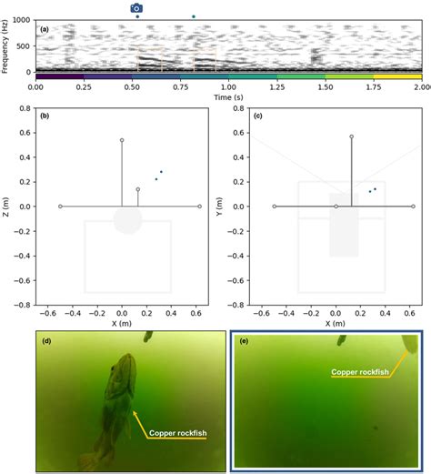 Identification of sounds from copper rockfish using the mini array... | Download Scientific Diagram