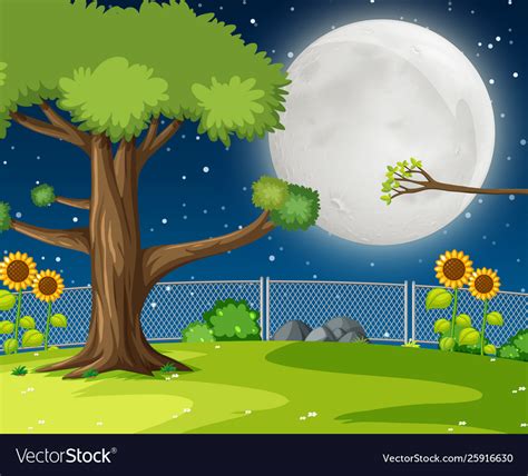 A night garden background Royalty Free Vector Image