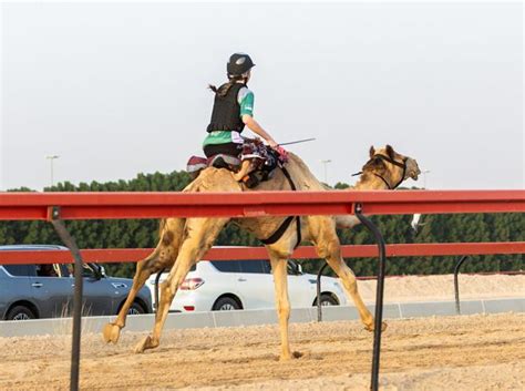 Temporary Grant Countian makes camel racing history in Dubai | Horse Racing | pmg-ky3.com