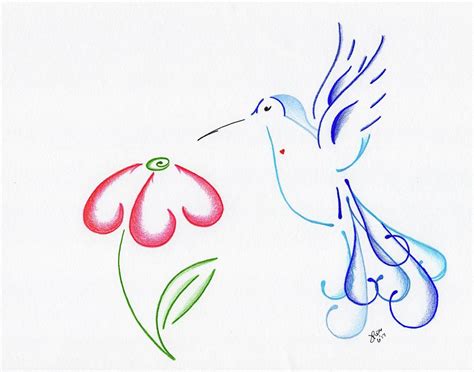 Hummingbird with Flower Drawing by Julia Pierce - Fine Art America