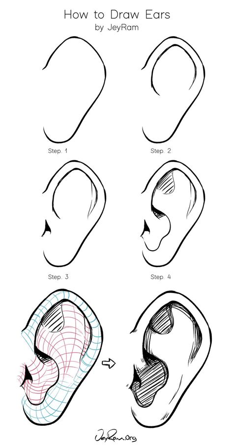 How To Draw Human Ears Step By Step