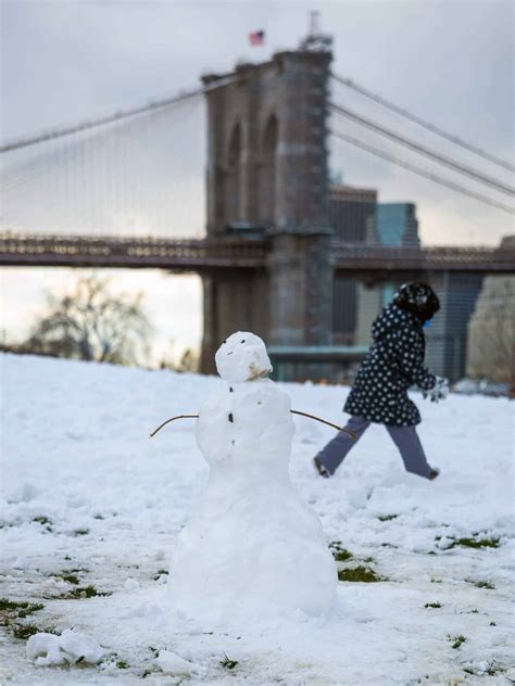 Winter Guide - Brooklyn Bridge Park