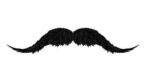 Moustache Sketch PNG, Vector, PSD, and Clipart With Transparent Background for Free Download ...