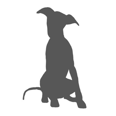 Italian Greyhound Whippet Spanish greyhound Lurcher - dog silhouette ...