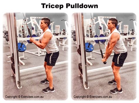 Tricep Pulldown