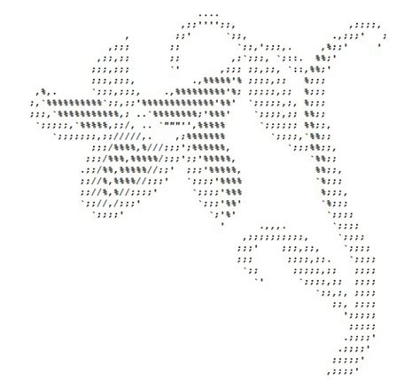 ASCII ART FLOWER SMALL - Wroc?awski Informator Internetowy - Wroc?aw, Wroclaw, hotele Wroc?aw ...