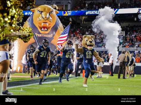 Florida panthers mascot hi-res stock photography and images - Alamy