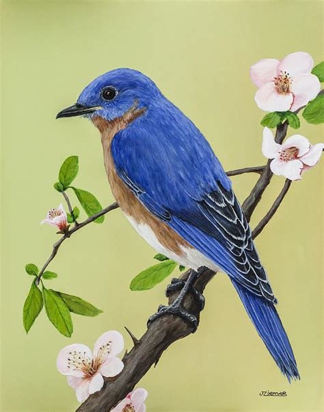 Bluebird Painting by Jim Ziemer