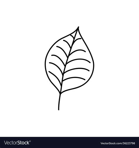 Spring leaf outline line icon doodle Royalty Free Vector