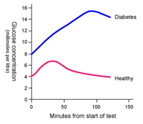 Glucose Tolerance Graph | Teaching Resources