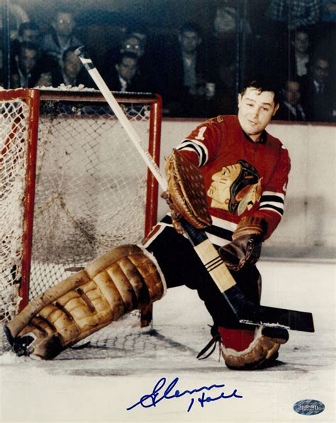 Glenn Hall | Chicago blackhawks hockey, Blackhawks hockey, Hockey goalie