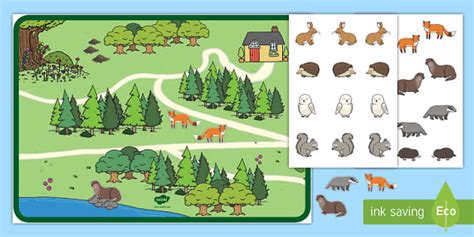 Woodland Habitat Animals Activity - KS1 Activities - Twinkl