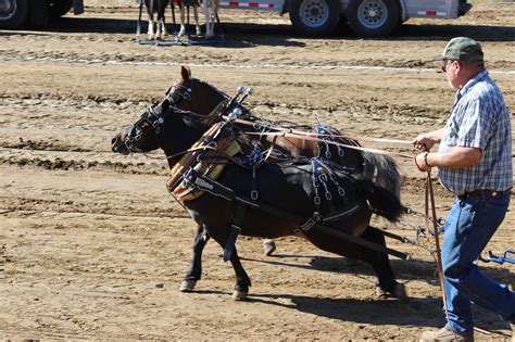 Clarion County Fair - Home