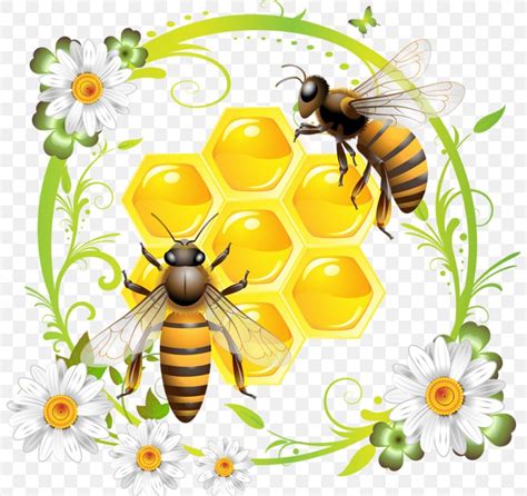 Western Honey Bee Honeycomb Clip Art, PNG, 800x773px, Bee, Arthropod, Bee Pollen, Beehive ...