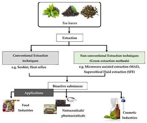 Green Extraction Techniques for Active Ingredients in Tea | Encyclopedia MDPI