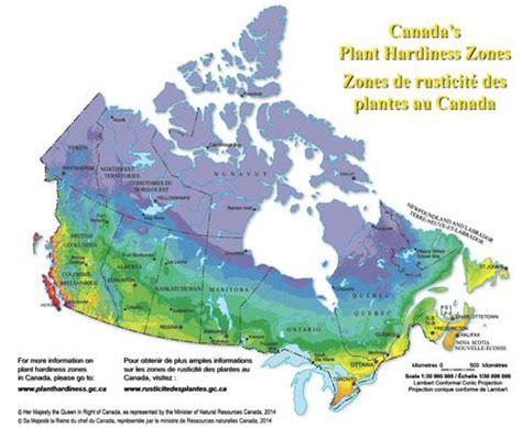 Plants hardiness map looks a lot like a Canadian population map | Canadian Geographic