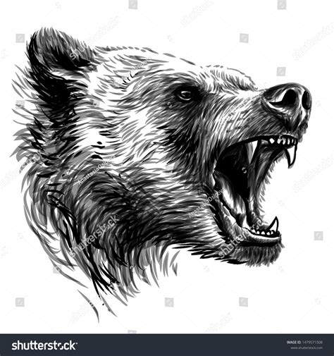 28,848 Angry Bear Images, Stock Photos & Vectors | Shutterstock