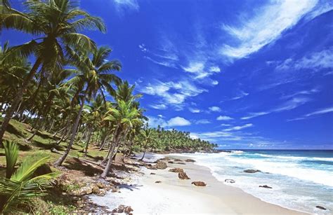 The Most Beautiful Beaches in Bahia