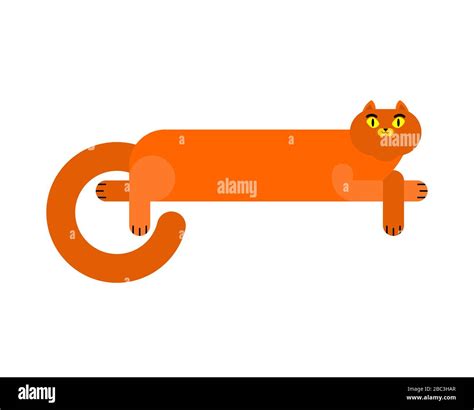 Long cat isolated. Cartoon pet. vector illustration Stock Vector Image & Art - Alamy