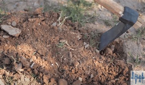 How To Use A Mattock? (Everything To Know) - HookedOnTool