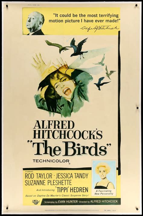 The Birds (1963) Original Forty by Sixty Theatrical Movie Poster - Original Film Art - Vintage ...