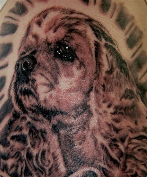 The 14 Coolest Cocker Spaniel Tattoo Designs In The World | Cocker spaniel, Dog tattoos, Spaniel