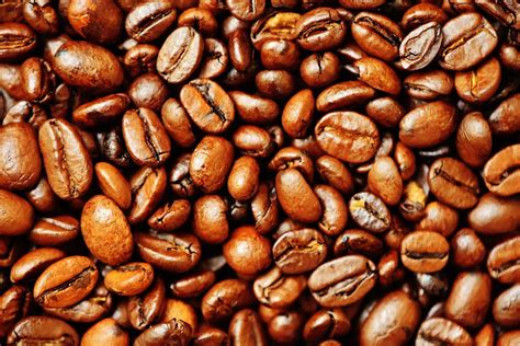 Coffee Beans · Free Stock Photo