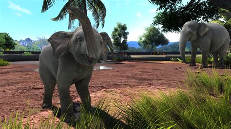 Zoo Tycoon: Ultimate Animal Collection on Steam