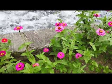 Peace | love | nature | Bhaderwah | photography - YouTube