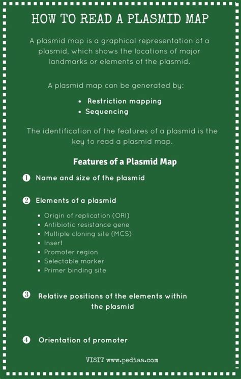 How to Read a Plasmid Map - Pediaa.Com