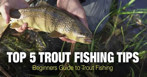 Trout Fishing Tips: Beginners Guide to Trout Fishing