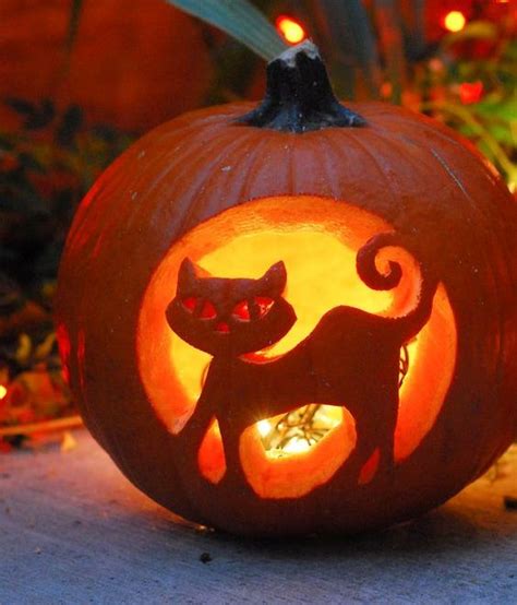 Picture Of cute cat pumpkin lantern