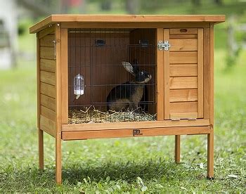 Best 6 Rabbit Hutch With Wire Floor Models Suitable Anywhere