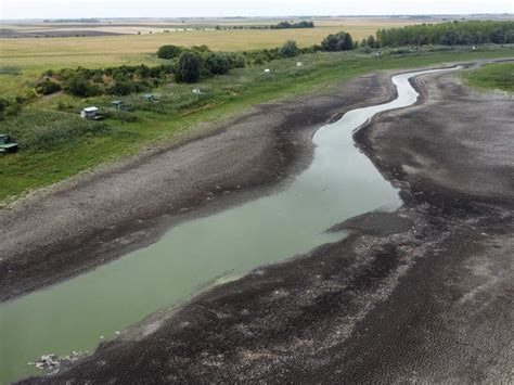 The drought across Europe is drying up rivers, killing fish and shriveling crops : NPR